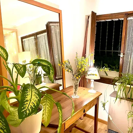 Zen Serenity Sauna & Retreat - Happy Go Lucky Homestay szállás *