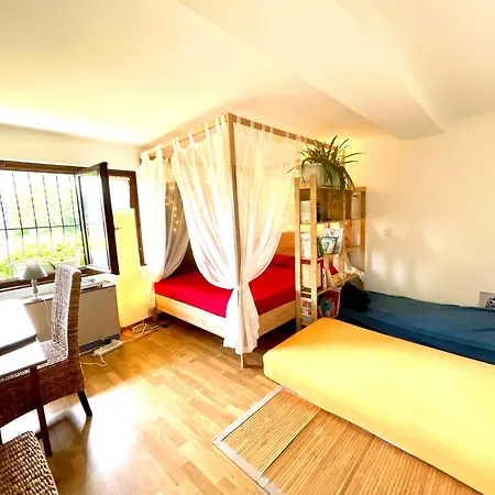 Zen Serenity Sauna & Retreat - Happy Go Lucky *